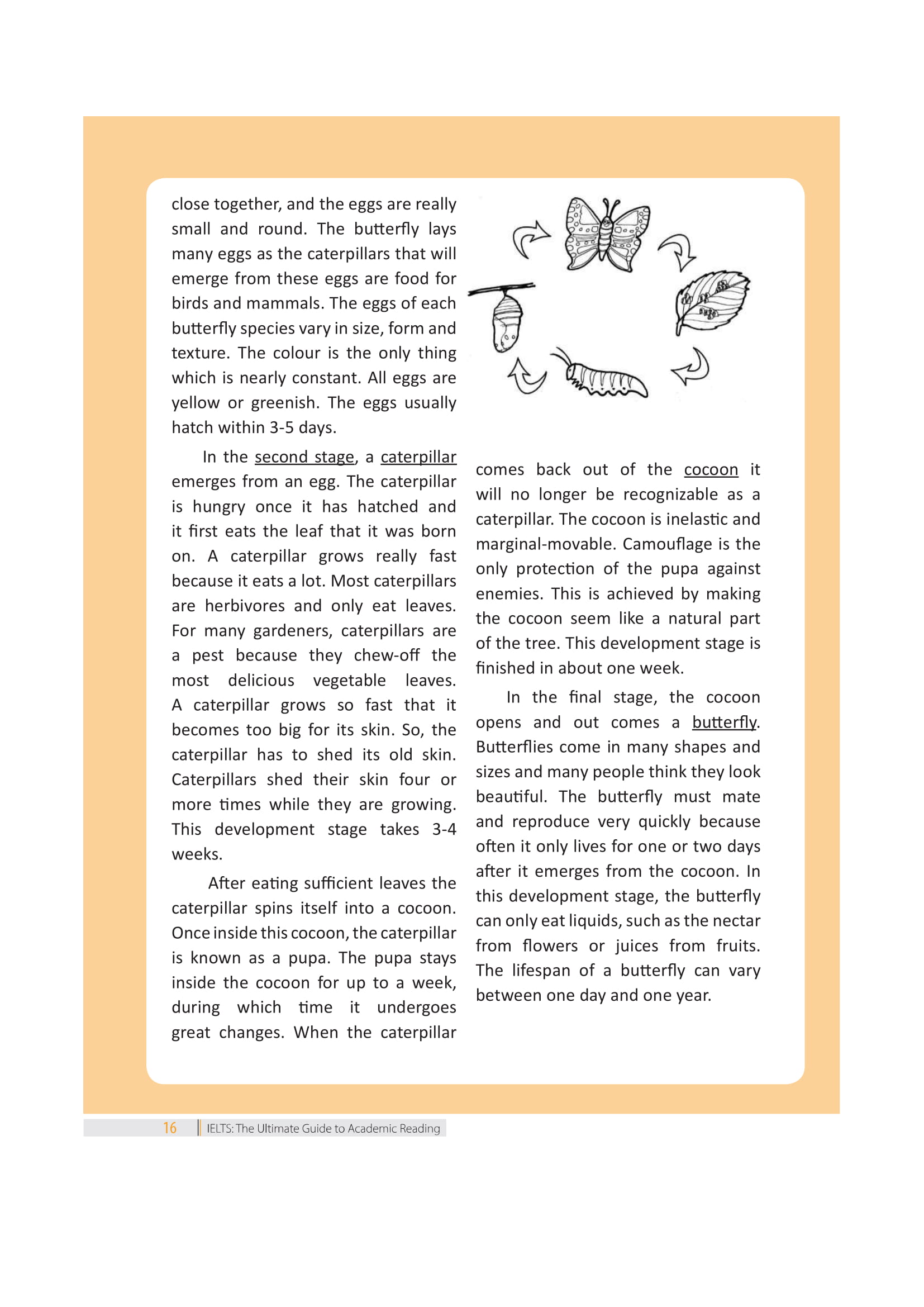 Ielts The Ultimate Guide To Academic Reading