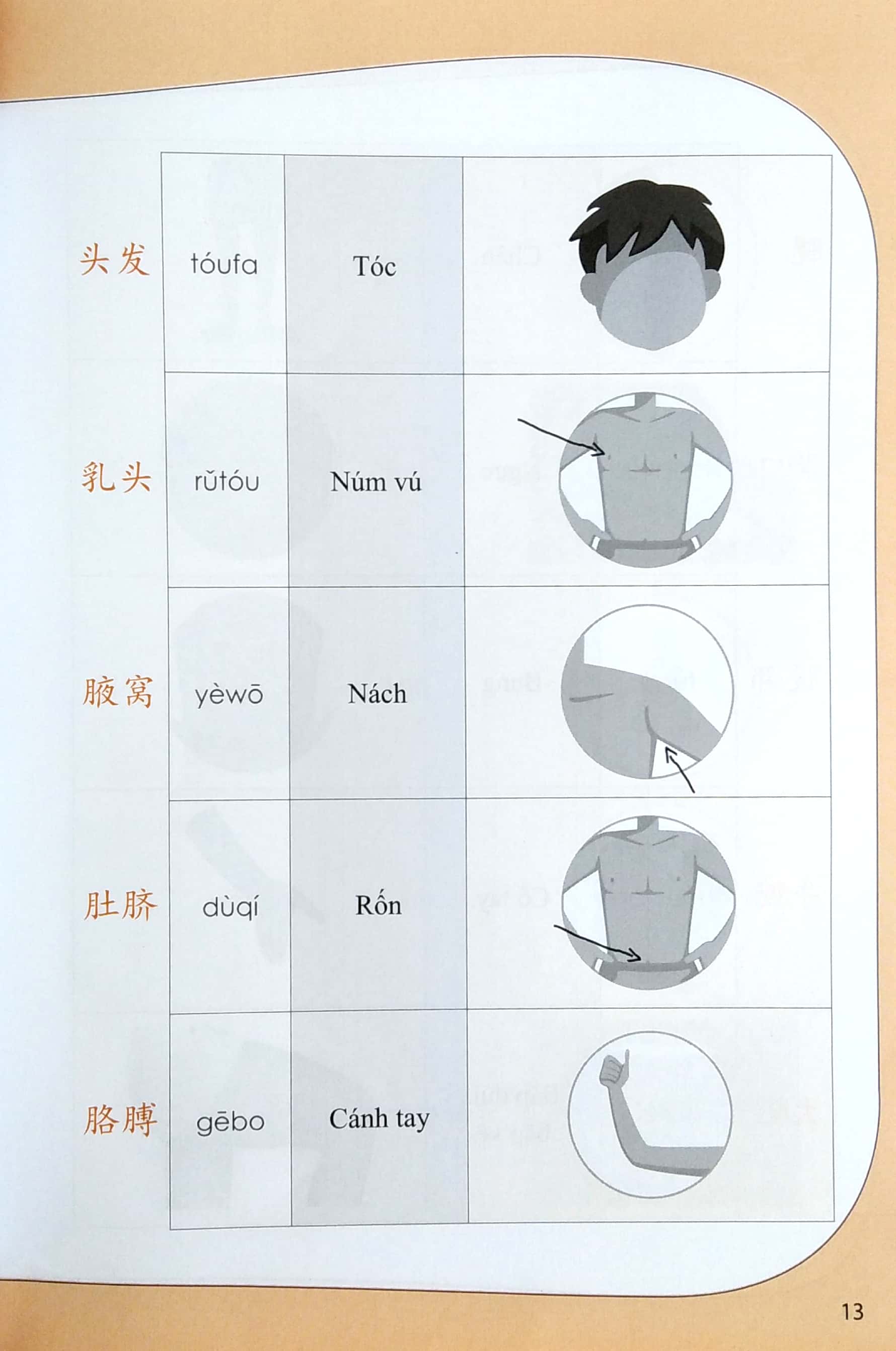Tự Học Từ Vựng Tiếng Trung Theo Chủ Đề