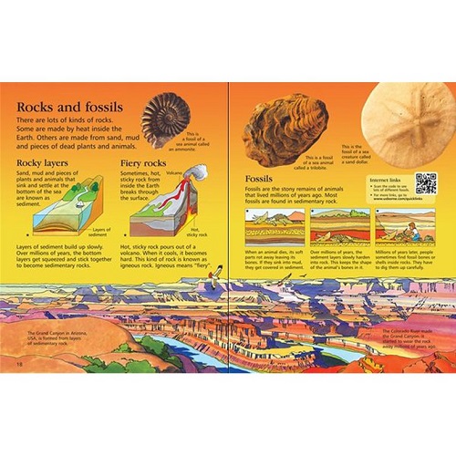 Sách Tiếng Anh - The Usborne Children's Encyclopedia