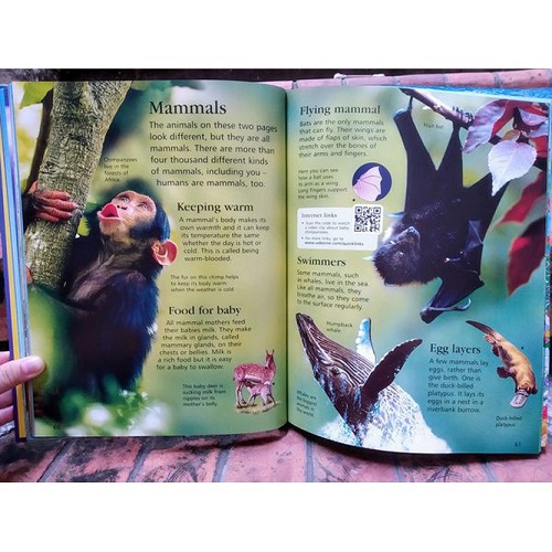 Sách Tiếng Anh - The Usborne Children's Encyclopedia