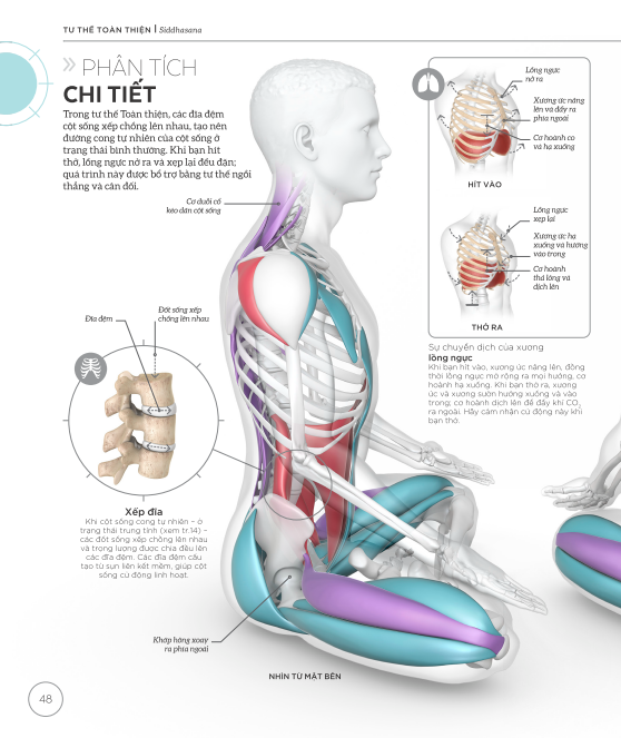 Khoa Học Về Yoga