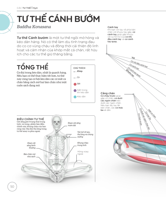 Khoa Học Về Yoga