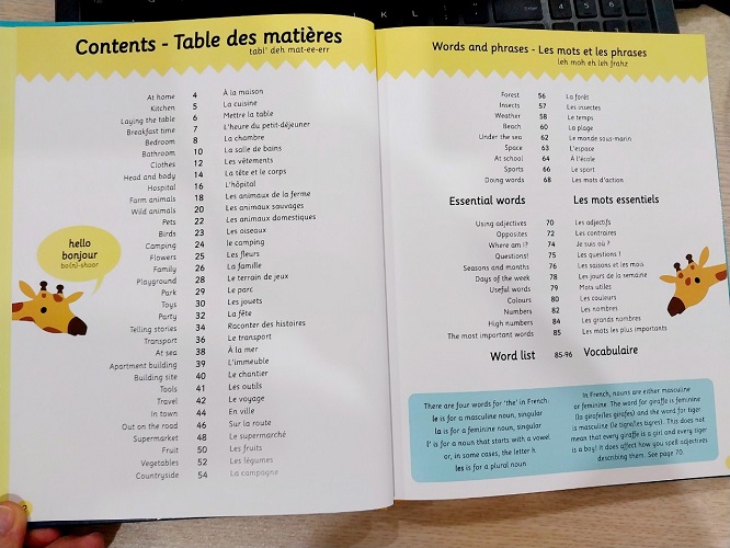 Từ Điển Song Ngữ Pháp -Anh Cho Trẻ Em - My Big English-French Picture Dictionary