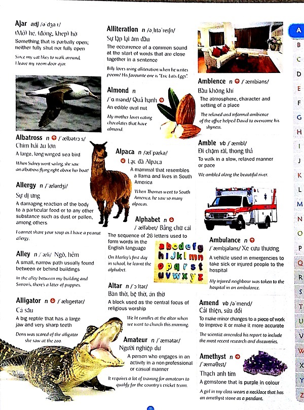 Children's Picture Dictionary - Từ Điển Tranh Dành Cho Trẻ Em