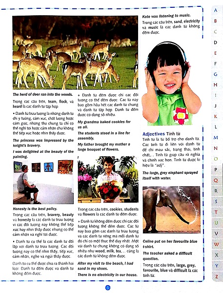 Children's Picture Dictionary - Từ Điển Tranh Dành Cho Trẻ Em