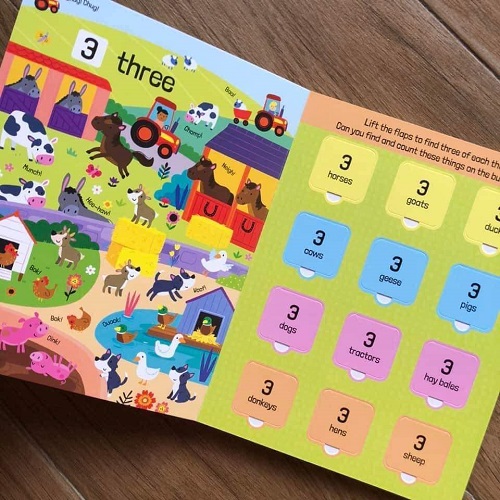 Sách Lật Mở Tiếng Anh - Lift-The-Flaps First 100 Things To Count